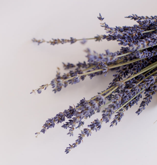 Reed Diffusers